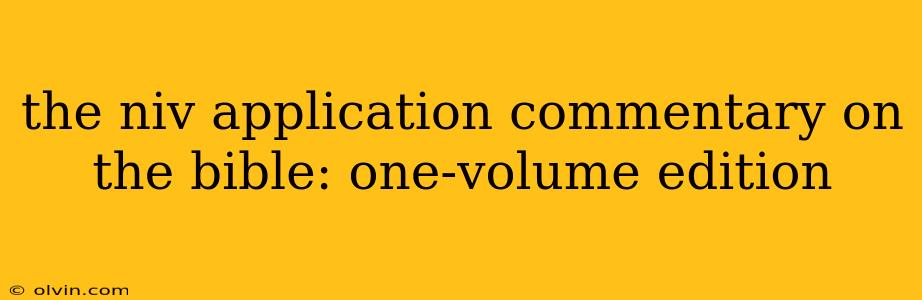 the niv application commentary on the bible: one-volume edition