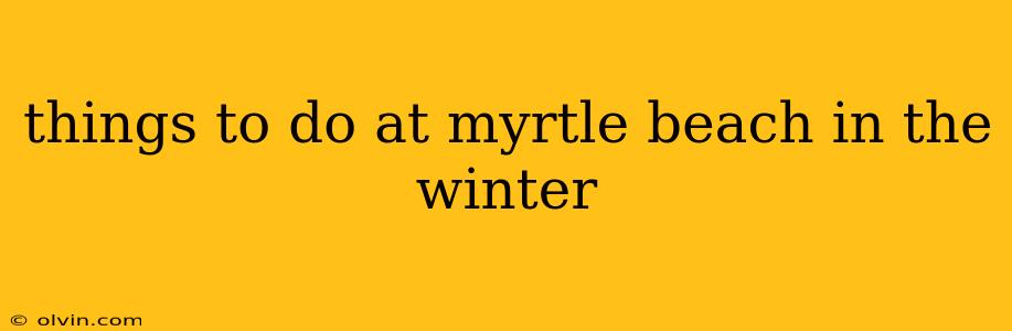 things to do at myrtle beach in the winter