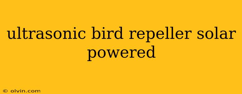 ultrasonic bird repeller solar powered