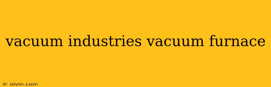 vacuum industries vacuum furnace