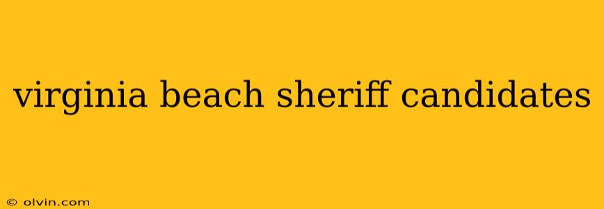 virginia beach sheriff candidates