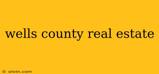 wells county real estate