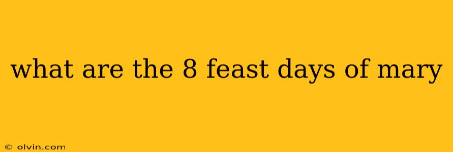 what are the 8 feast days of mary