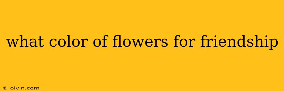 what color of flowers for friendship