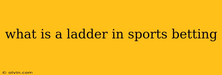 what is a ladder in sports betting