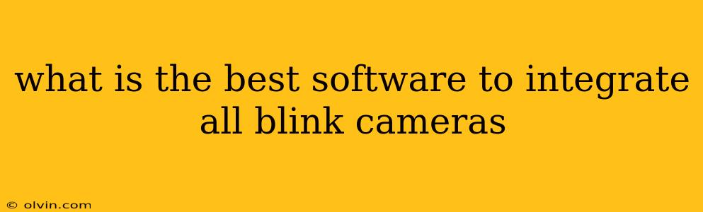 what is the best software to integrate all blink cameras